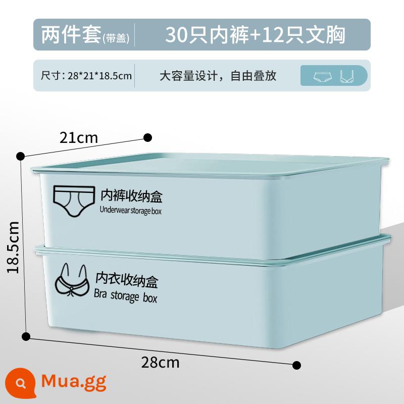 Hộp Bảo Quản Đồ Lót Tất Quần Lót Phân Đoạn Hiện Vật Đồ Lót Hộ Gia Đình 3 Trong 1 Hộp Người Tổ Chức Tủ Quần Áo Ngăn Kéo - Sky Blue⭐[Hộp đồ lót + Hộp đồ lót] (Bìa đôi) * Nhãn dán hoạt hình miễn phí