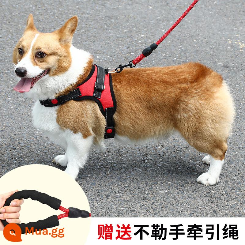 Dây dắt chó kiểu vest cỡ vừa chó nhỏ corgi bichon gấu bông ôm ngực túi bé chó con xích chó đi dạo xích chó - Ngực và lưng đỏ [dây kéo 1,5m miễn phí]