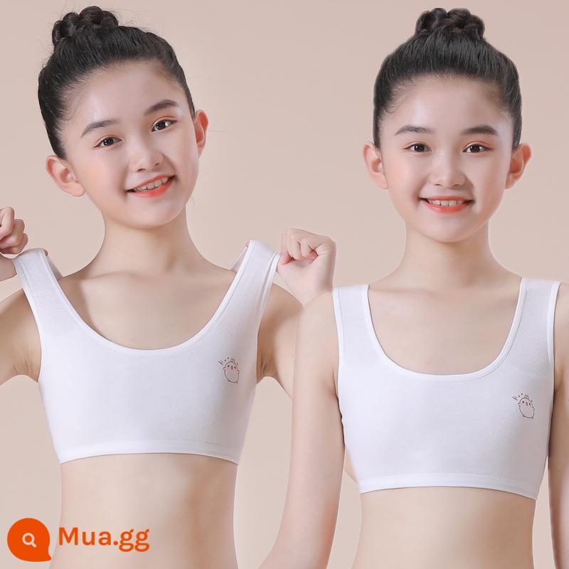 Bé gái từ 8-15 tuổi, cotton nguyên chất, quần lót vest 2 lớp, học sinh tiểu học, THCS, bé gái đầu đời, áo ống không viền - [Trắng + Trắng] Hai mảnh