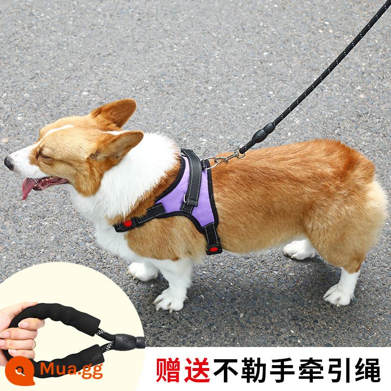 Dây dắt chó kiểu vest cỡ vừa chó nhỏ corgi bichon gấu bông ôm ngực túi bé chó con xích chó đi dạo xích chó - Ngực và lưng màu tím [dây kéo 1,5m miễn phí]