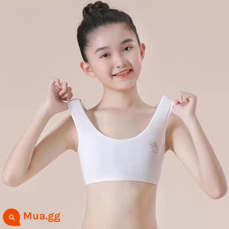 Bé gái từ 8-15 tuổi, cotton nguyên chất, quần lót vest 2 lớp, học sinh tiểu học, THCS, bé gái đầu đời, áo ống không viền - [Trắng] Đơn chiếc