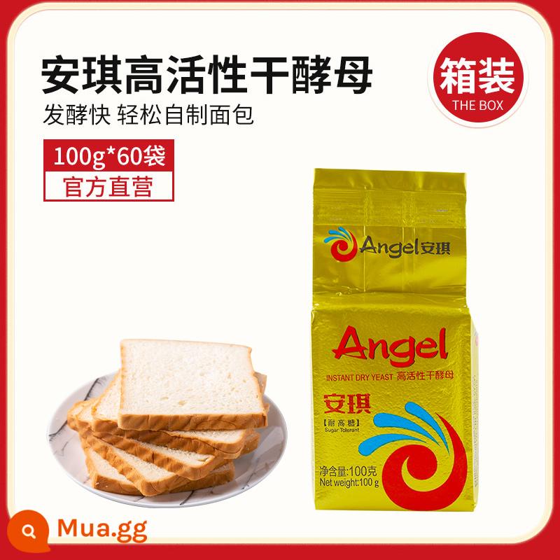 Bột men khô hoạt tính cao Angel 500g bánh bao thương mại, bánh bao hấp, bột nở có hàm lượng đường cao, hộp 5g gia dụng - [100g*60 túi] Khả năng kháng đường cao