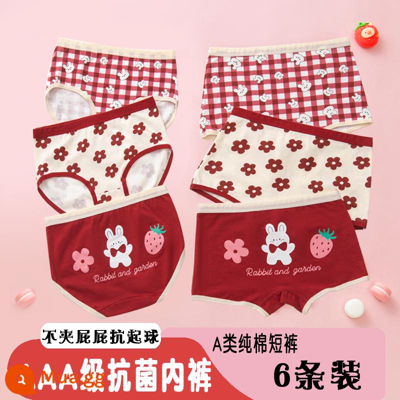 Quần Lót Trẻ Em Bé Gái Cotton Boxer Ba Quần Lót Bé Gái Bé Lớn Bé Trai Thỏ Năm Đỏ Sinh Năm Quần Short - 8809+3323# Ba hoặc bốn góc 6 gói