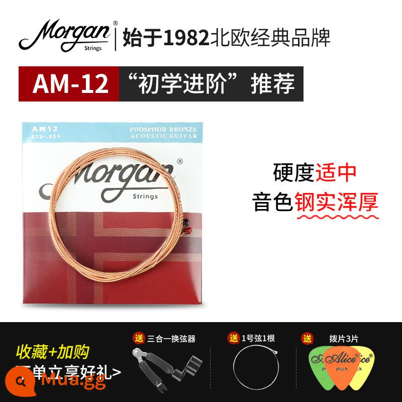 Dây đàn guitar Morgan, một bộ sáu bộ hoàn chỉnh để chơi đàn guitar điện bằng gỗ dân gian, dây cổ điển, được phủ lớp chống gỉ - AM12 dành cho người mới bắt đầu [1 bộ]