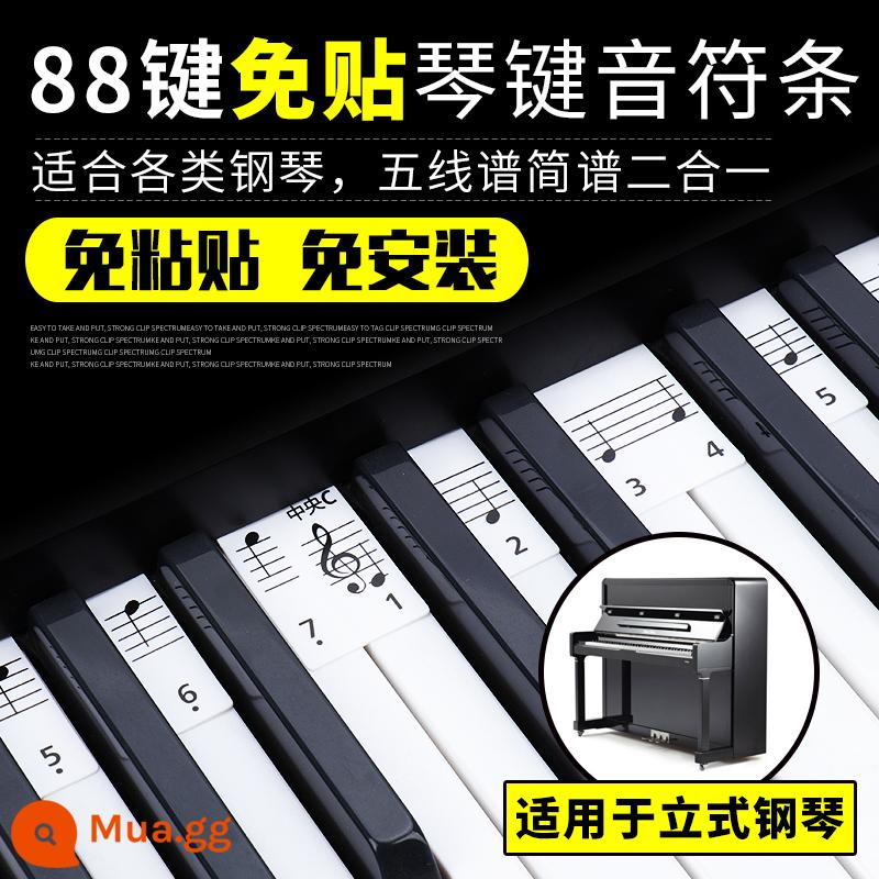 Nhãn dán đàn piano không cần dán 88 phím ký hiệu năm dòng nhãn dán phím đàn piano điện tử hai trong một nhãn dán phiên âm dành cho người mới bắt đầu - [Không nhuộm màu] Dải nốt đàn piano 88 phím (đàn piano thẳng đứng)