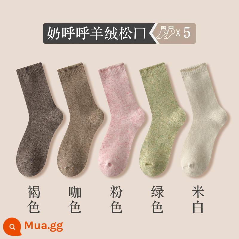 Sang Trọng Tất Nữ Mùa Thu Đông Len Giữa Ống Tất Dày Cashmere Màu Kẹo Tất Lông Ấm Áp Giấc Ngủ giam Tất - [Thành phần 2] 5 đôi - nâu + cà phê + hồng + xanh + trắng nhạt