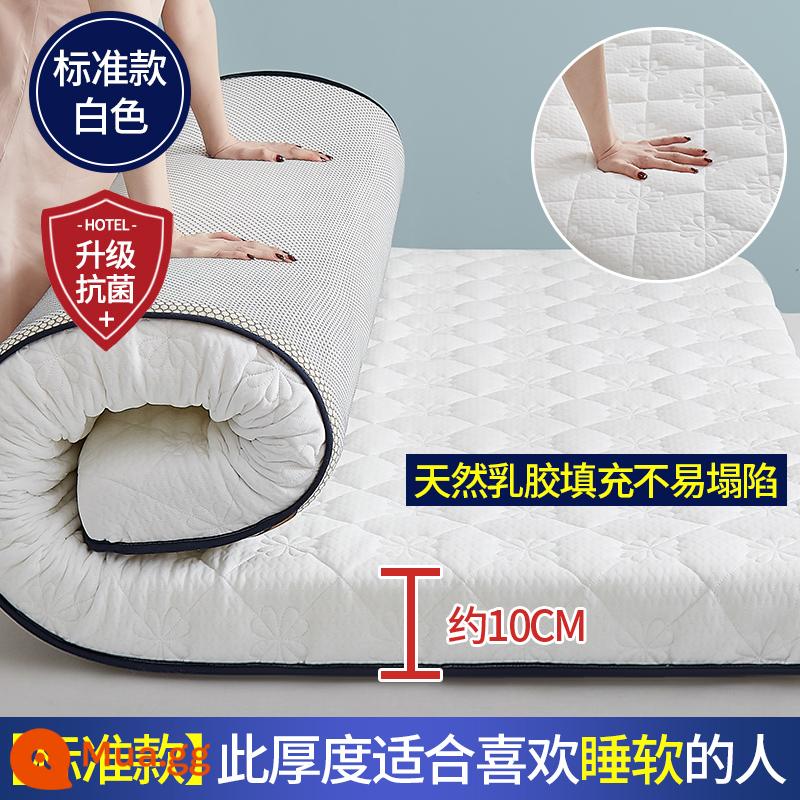 Nệm cao su đệm nhà dày ký túc xá sinh viên đơn chiếu tatami thảm xốp cho thuê chăn đặc biệt - Cánh hoa trắng kháng khuẩn loại A 10cm