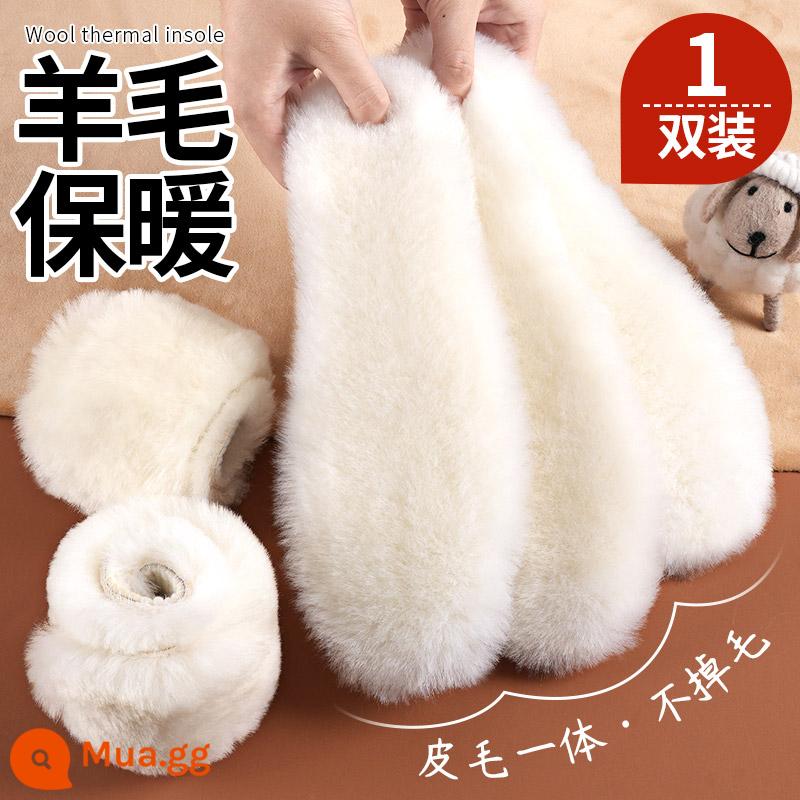 2 đôi lót lông cừu ấm áp nam mùa đông nữ siêu mềm mịn cotton nhung dày dặn thấm hút mồ hôi khử mùi mùa đông - 1 đôi] Len nguyên chất | phối lông - phong cách ấm áp