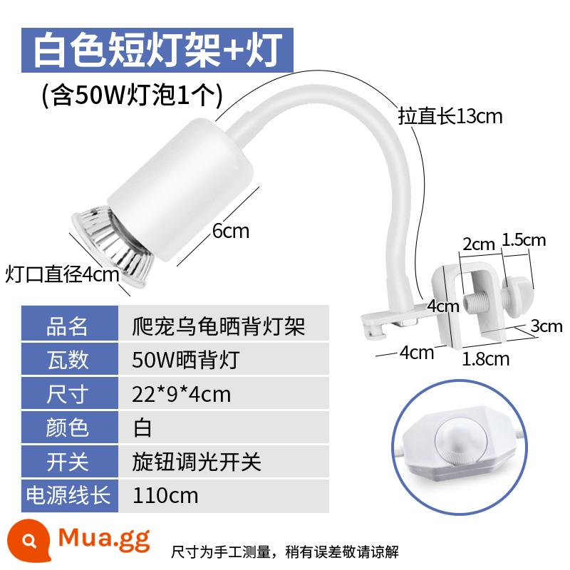 Rùa bò thú cưng đèn sưởi UVA sưởi ấm UVB cách nhiệt đèn năng lượng mặt trời rùa bóng đèn thú cưng rùa đèn sưởi ấm liên tục - Chân đèn ngắn màu trắng [công tắc điều chỉnh độ sáng] + 1 bóng đèn 50W