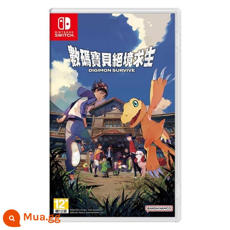 Trò chơi Nintendo Switch đã qua sử dụng ban đầu Thẻ thời lượng pin LITE với tái chế Zelda Mario Arceus - màu sô cô la