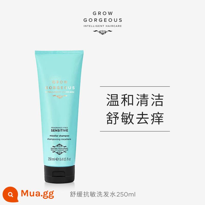 [Mua ngay] Tuýp bột nhỏ GrowGorgeous đầy đặn gg dầu gội kiểm soát dầu dưỡng ẩm chân tóc - Dầu gội làm dịu chống dị ứng (làm dịu)