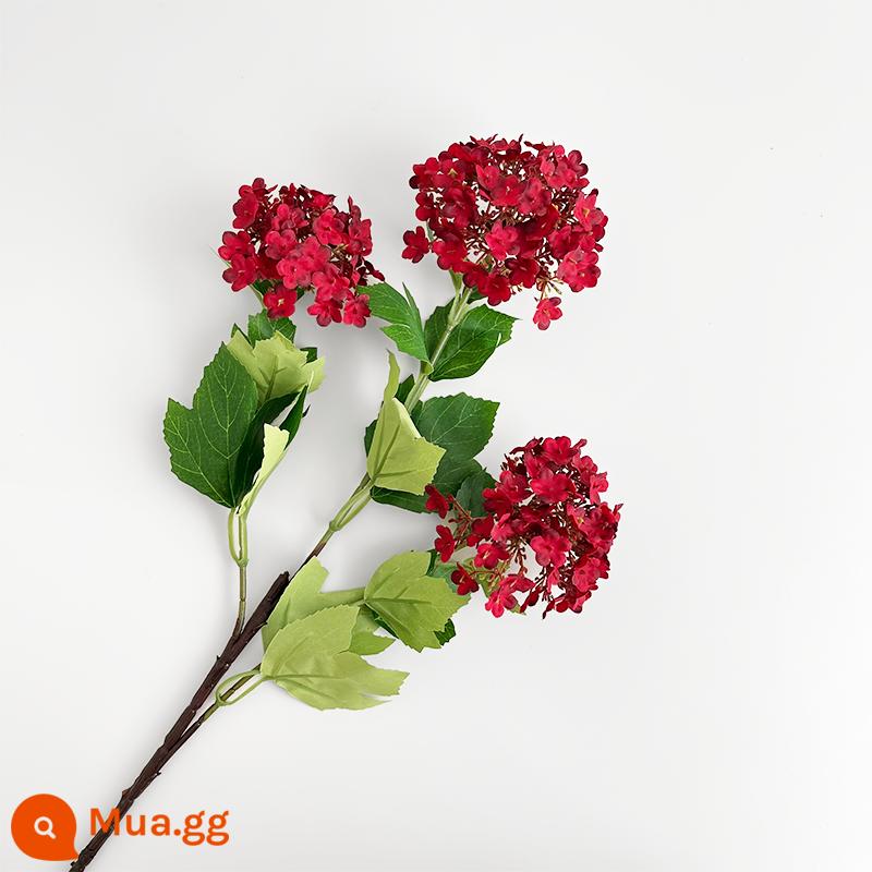 Xinyou Năm Mới 2024 Sản Phẩm Mới Mô Phỏng Bồng Lai Thông Hoa Phụ Kiện Handmade Hoa Trang Trí Hoa Giả Trang Trí - 3 bông hoa cẩm tú cầu, màu đỏ, cành đơn khoảng 71cm