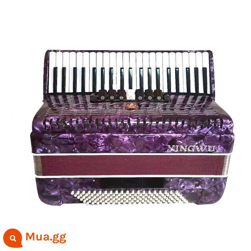 Vẹt Accordion 8/32/48/60/96/120 Bass Ba hoặc Bốn Hàng Lò Xo Phím Accordion dành cho Người Mới Bắt Đầu Chơi - 120 bass 3 hàng sậy tím YW-827