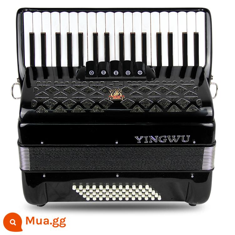 Vẹt Accordion 8/32/48/60/96/120 Bass Ba hoặc Bốn Hàng Lò Xo Phím Accordion dành cho Người Mới Bắt Đầu Chơi - 60 bass đen YW-823