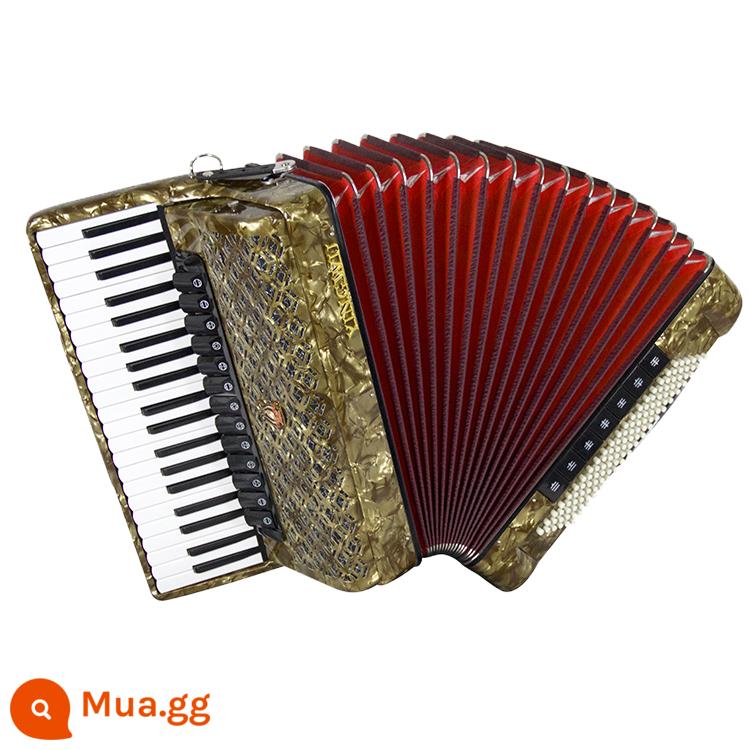 Vẹt Accordion 8/32/48/60/96/120 Bass Ba hoặc Bốn Hàng Lò Xo Phím Accordion dành cho Người Mới Bắt Đầu Chơi - 120 bass 4 hàng lò xo đồng YW-9968