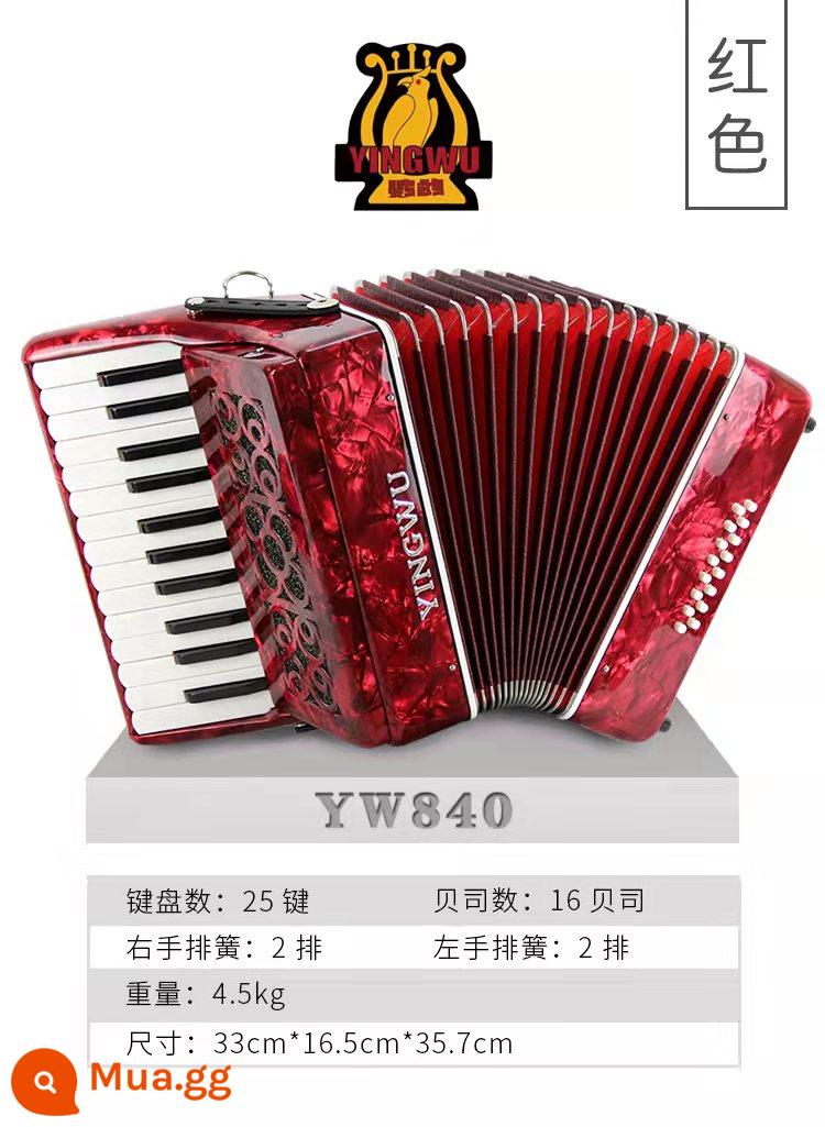 Vẹt Accordion 8/32/48/60/96/120 Bass Ba hoặc Bốn Hàng Lò Xo Phím Accordion dành cho Người Mới Bắt Đầu Chơi - 16 trầm đỏ