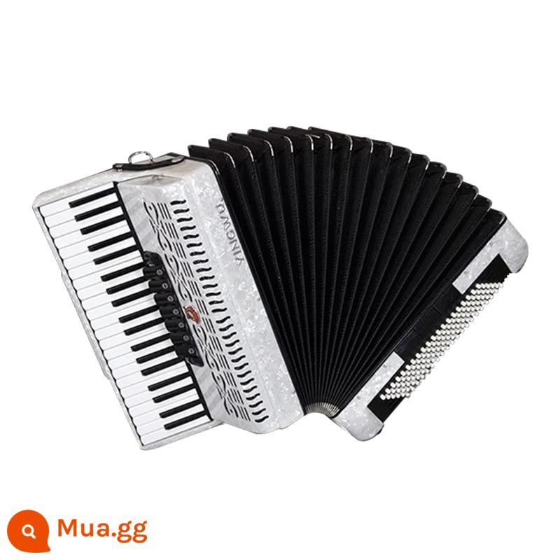 Vẹt Accordion 8/32/48/60/96/120 Bass Ba hoặc Bốn Hàng Lò Xo Phím Accordion dành cho Người Mới Bắt Đầu Chơi - 120 bass 3 hàng trắng YW-827