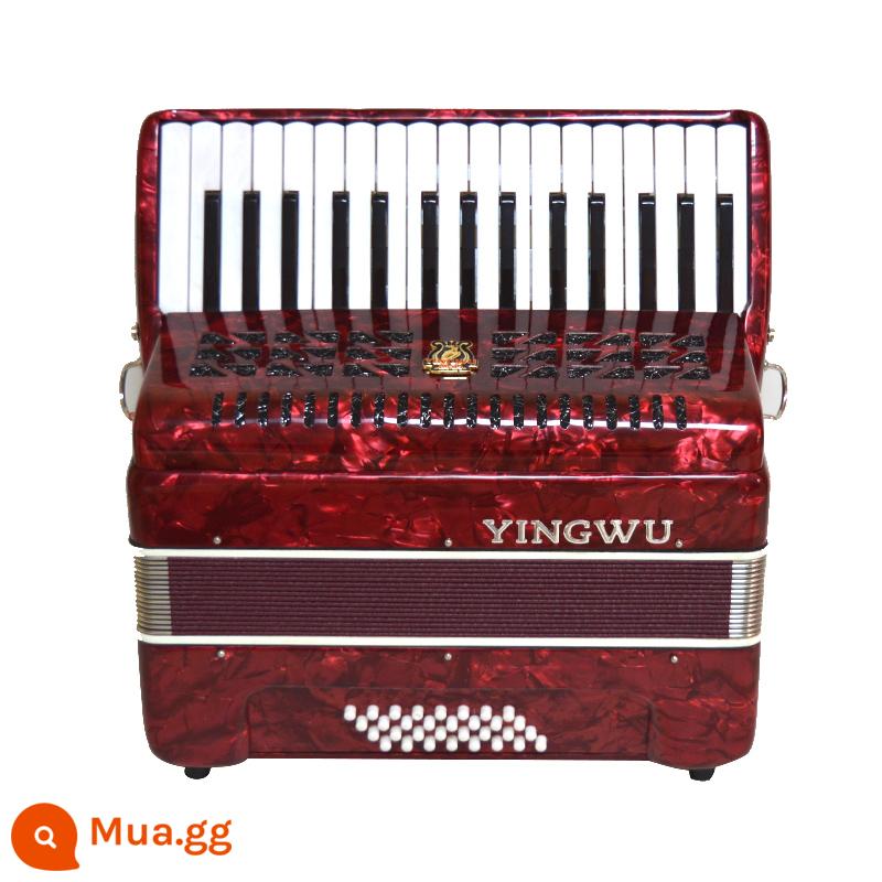 Vẹt Accordion 8/32/48/60/96/120 Bass Ba hoặc Bốn Hàng Lò Xo Phím Accordion dành cho Người Mới Bắt Đầu Chơi - 32 trầm đỏ