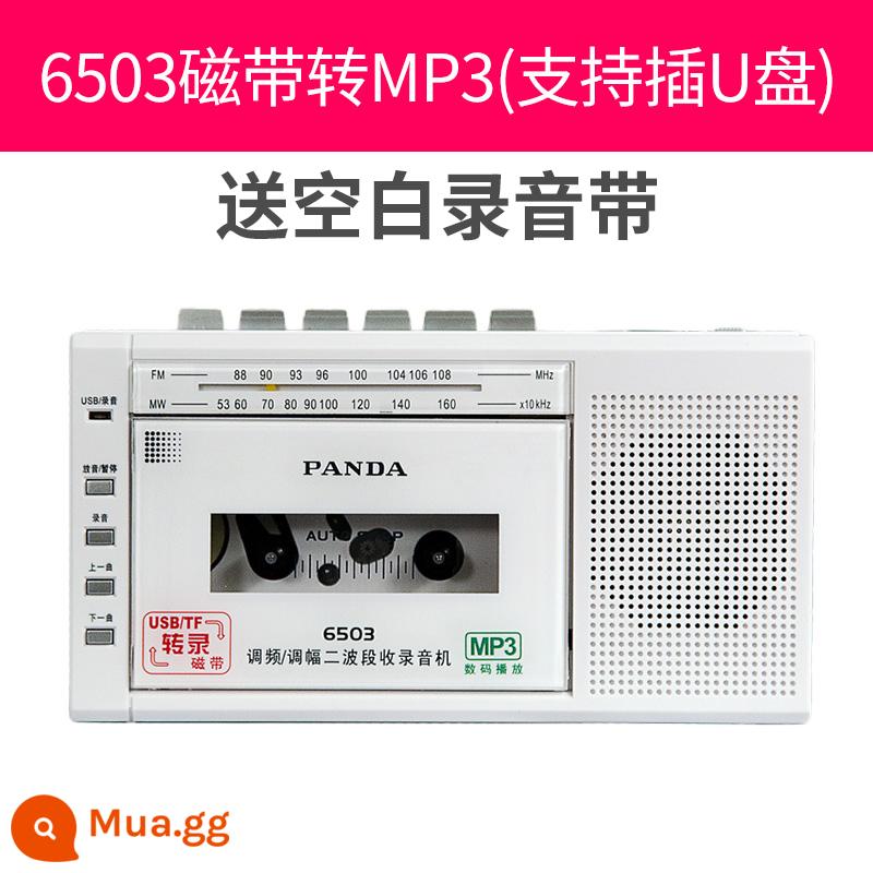 Panda 6503 Băng Máy Nghe Nhạc Walkman Walkman Cổ Hoài Cổ Bộ Sưu Tập Máy Băng Cassette Máy Nghe Nhạc Đĩa Đơn - Phiên bản băng ghi âm màu trắng phiên bản 6503+ ghi băng âm thanh trống