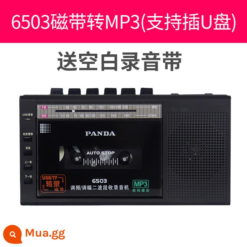 Panda 6503 Băng Máy Nghe Nhạc Walkman Walkman Cổ Hoài Cổ Bộ Sưu Tập Máy Băng Cassette Máy Nghe Nhạc Đĩa Đơn - Phiên bản phiên âm băng đen 6503+ ghi băng âm thanh trống