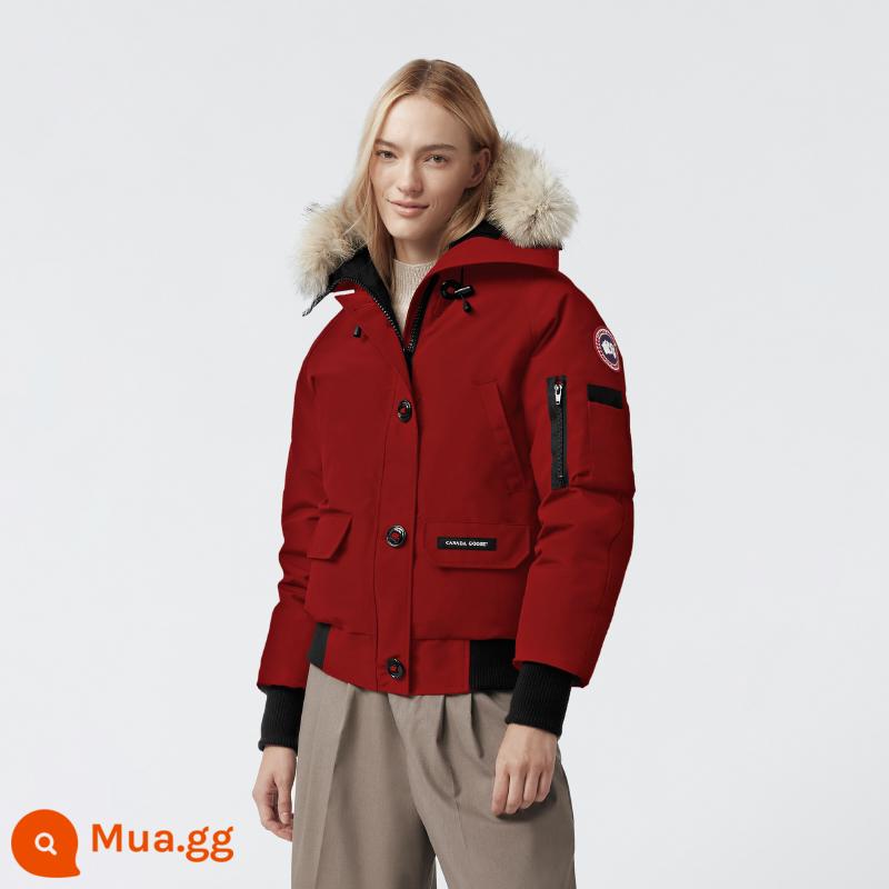 CANADA GOOSE Áo khoác bomber Canada Goose Chilliwack Áo khoác bomber nữ 7999L - 261 Sequoia