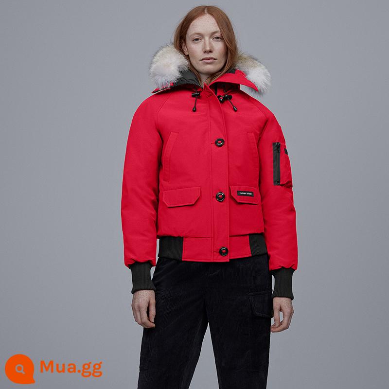 CANADA GOOSE Áo khoác bomber Canada Goose Chilliwack Áo khoác bomber nữ 7999L - 11 màu đỏ