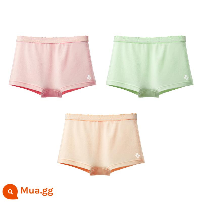 Có một cây Đồ lót trẻ em lớp E quần đùi bé gái quần đùi cotton nguyên chất quần đùi trẻ em cỡ lớn, vừa và nhỏ quần đùi trẻ em - Ari Hồng+Chó Táo+Thỏ Đào