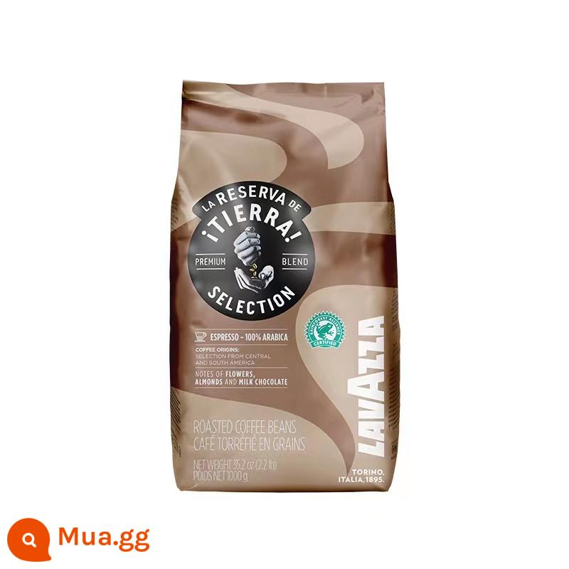 Cà phê Lavazza Lavasa Cà phê espresso hạt Ý đậm đặc 1kg nhập khẩu Ý giao ngay - Dadi Select-Rượu Đặc Biệt Rừng Mưa-1kg