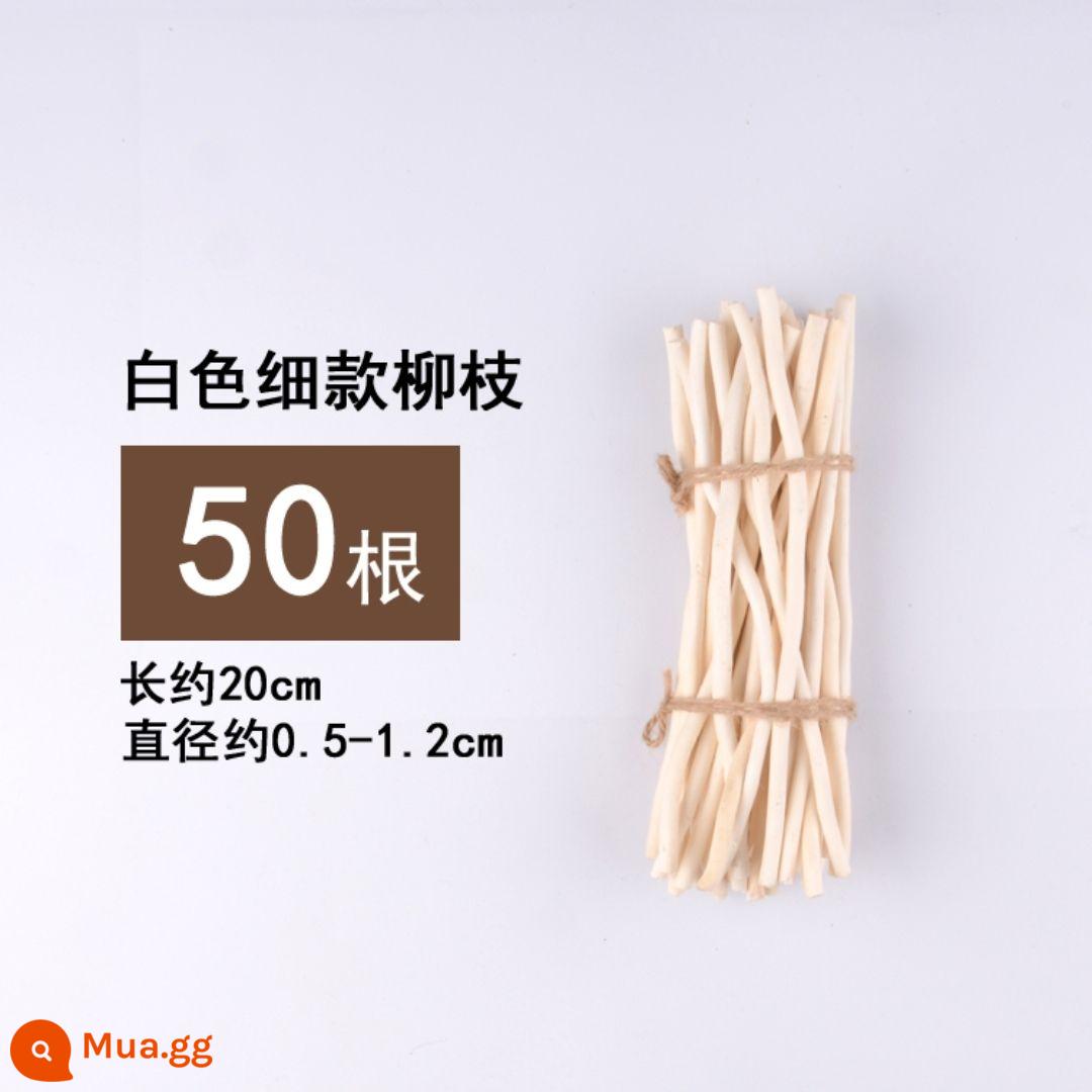 Khúc gỗ khô nhánh mẫu giáo handmade tự làm sáng tạo trang trí nhà cảnh bố trí phòng khách thanh gỗ nhỏ Sen Cục - Đoạn liễu trắng 20 cm 50 cái/bó