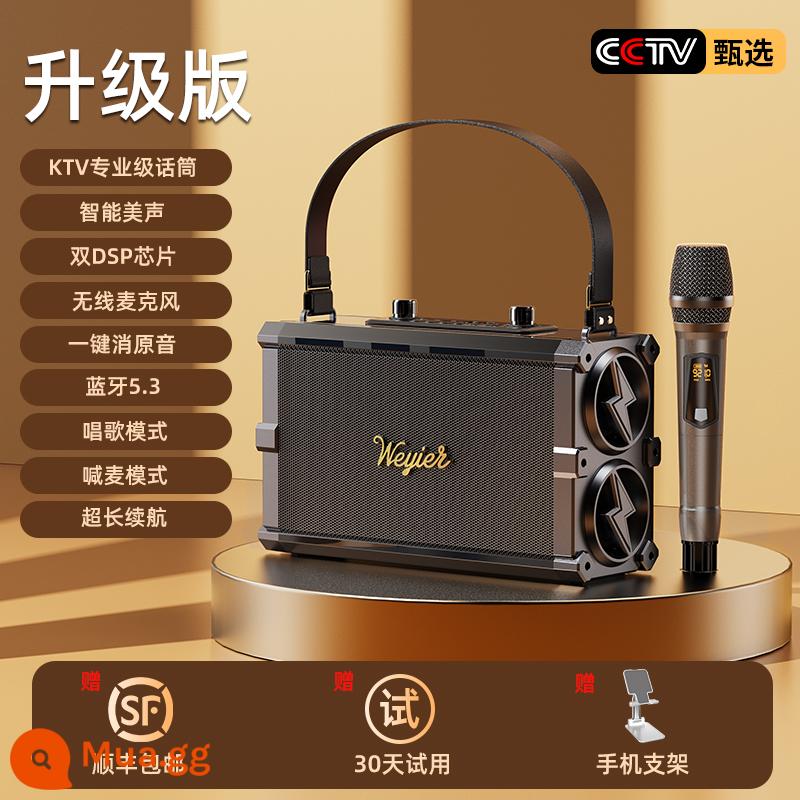 Bộ âm thanh nhà KTV K bài hát micro Tất cả karaoke Loa Bluetooth micro nhà ngoài trời bộ hoàn chỉnh - [Phiên bản nâng cấp] Bel Canto thông minh ✅ Super Bass ✅ Micro không dây đơn