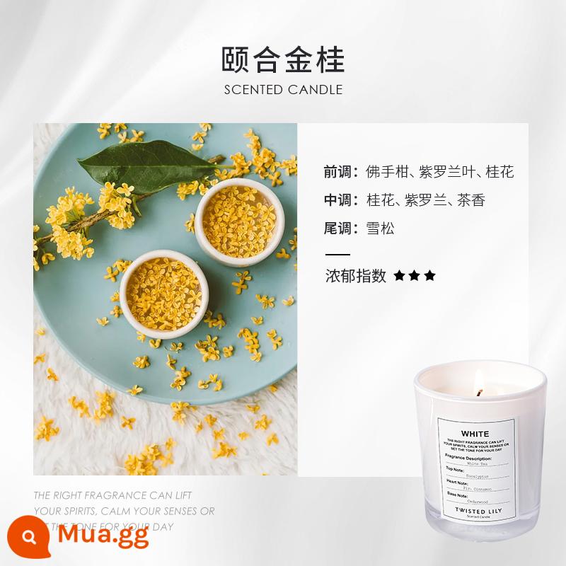 Giáng sinh Aroma Nến Niche Senior Mason Magira Phòng ngủ trong nhà trong nhà - Yijingui (hương thơm của hoa quế vàng)