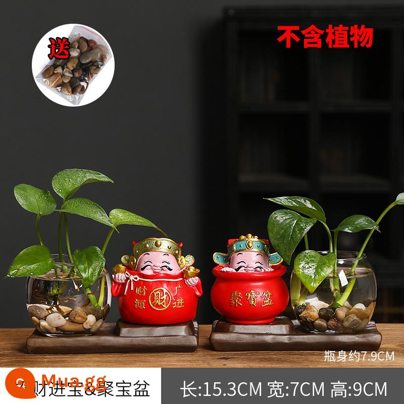 Sáng Tạo Thủy Canh Thần Tài Vàng Kudzu Bình Mini Cá Tính Nhỏ Hoa Vật Có Hoa Tàu Phòng Khách Trang Trí Văn Phòng Trang Trí - [Phiên bản mới] Thịnh vượng + dồi dào (cỡ vừa)