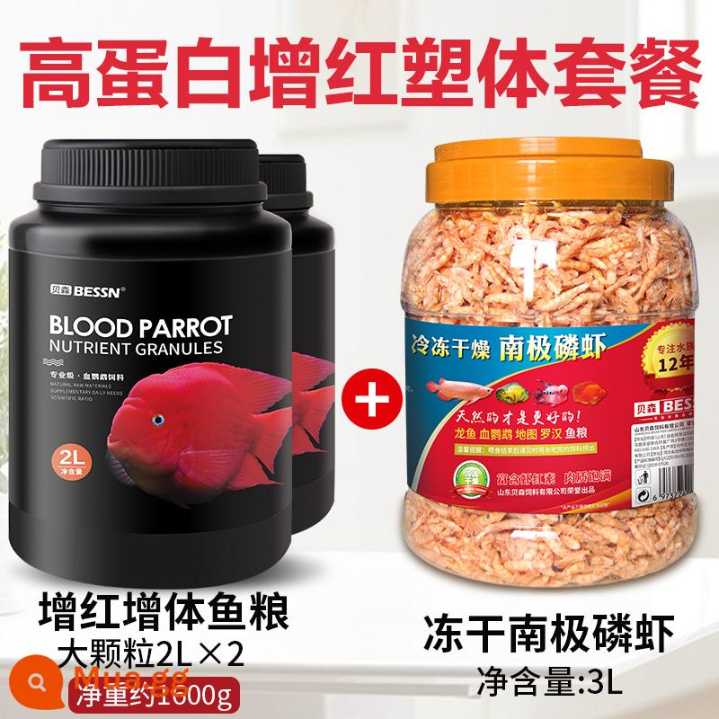 Thức ăn cho cá vẹt đỏ thức ăn cho cá giàu màu đỏ và giàu astaxanthin cá la hán máu thức ăn cho cá vẹt thức ăn đặc biệt cho cá - 4000ml hạt lớn khoảng 1600g + Nhuyễn thể Nam Cực thùng 3L