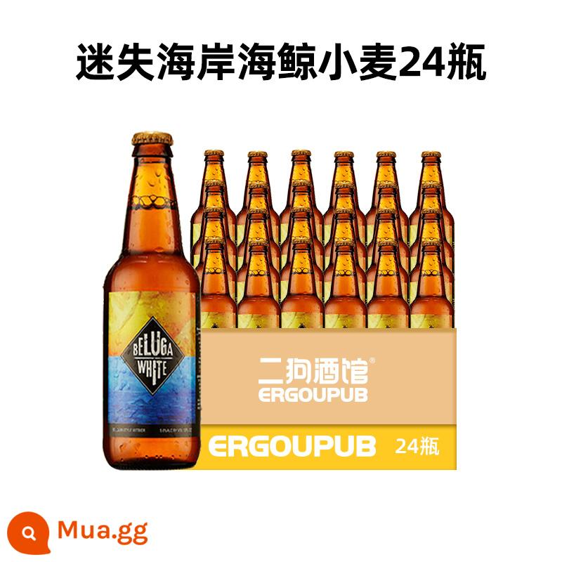 Mỹ Lost Coast bia thủ công nhập khẩu sữa đậu phộng đen tám Shitao voi thần IPA ma mây 24 chai - 24 chai: Lúa mì cá voi biển