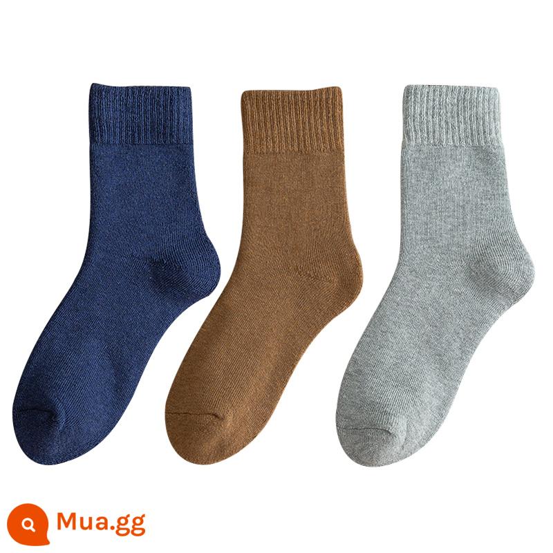 Vớ nữ ống giữa mùa thu và mùa đông cotton nguyên chất ins hợp thời trang ống dài màu đen nam mùa đông dày cộng với nhung ấm áp vớ - 3 đôi: navy + cà phê + xám nhạt