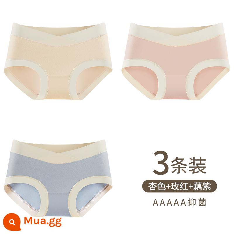 Yu Zhaolin Bộ Đồ Lót Cotton Nguyên Chất Đáy Quần Kháng Khuẩn Từ Giữa Đến Cuối Thời Kỳ Mang Thai Eo Thấp Hỗ Trợ Bụng Quần Short Tam Giác Đầu Modal - Quả mơ + hoa hồng đỏ + củ sen tím