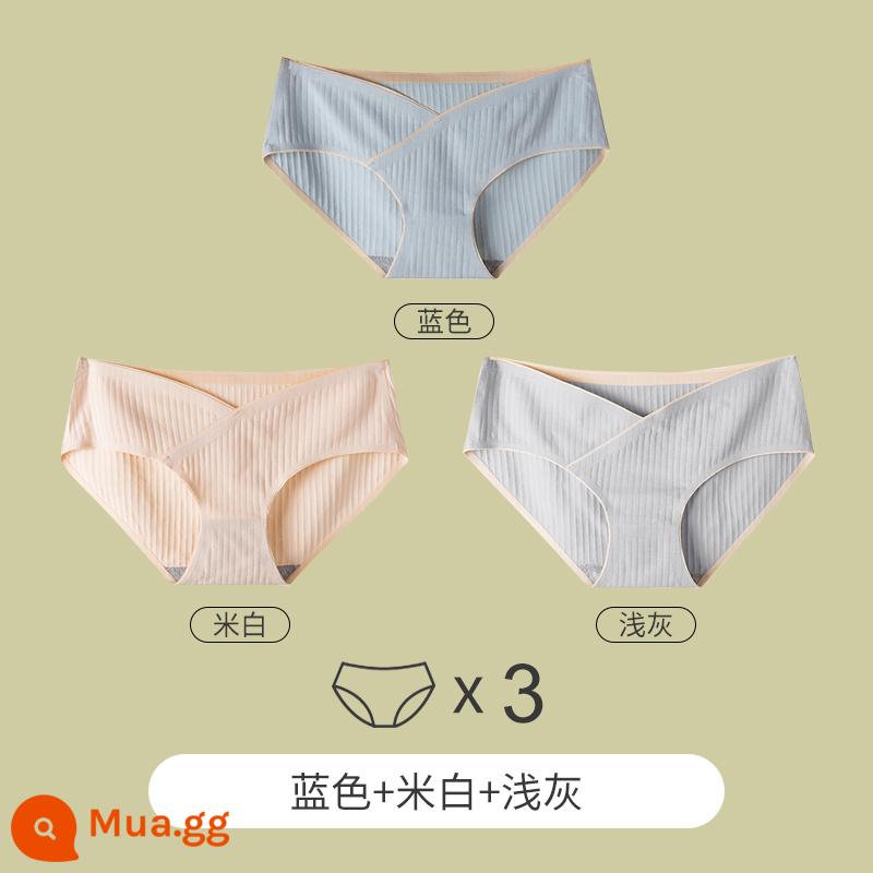 Yu Zhaolin Bộ Đồ Lót Cotton Nguyên Chất Đáy Quần Kháng Khuẩn Từ Giữa Đến Cuối Thời Kỳ Mang Thai Eo Thấp Hỗ Trợ Bụng Quần Short Tam Giác Đầu Modal - Xanh lam + trắng nhạt + xám nhạt