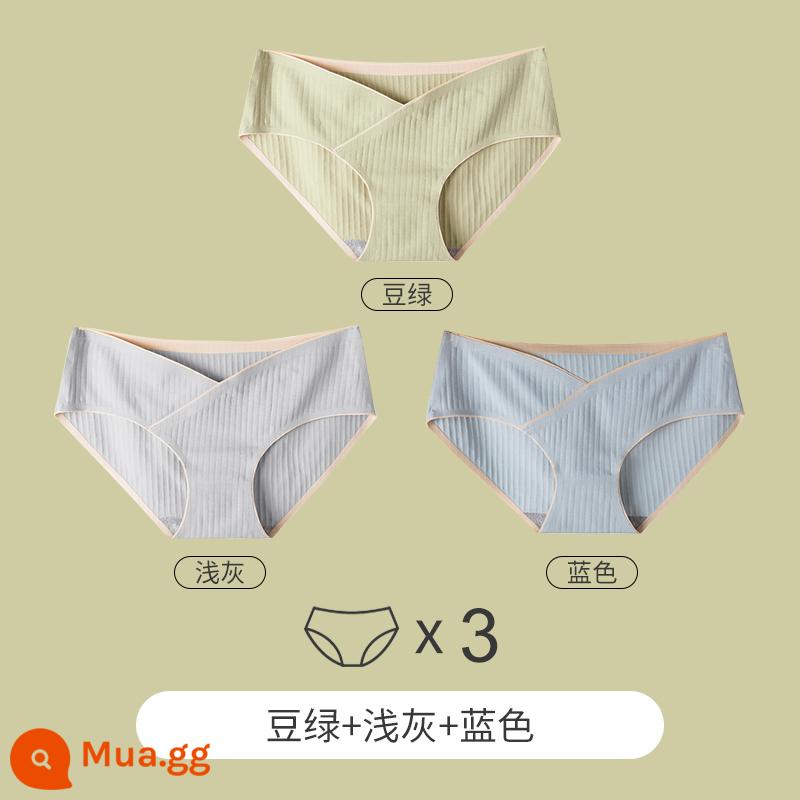 Yu Zhaolin Bộ Đồ Lót Cotton Nguyên Chất Đáy Quần Kháng Khuẩn Từ Giữa Đến Cuối Thời Kỳ Mang Thai Eo Thấp Hỗ Trợ Bụng Quần Short Tam Giác Đầu Modal - Xanh đậu + xám nhạt + xanh lam