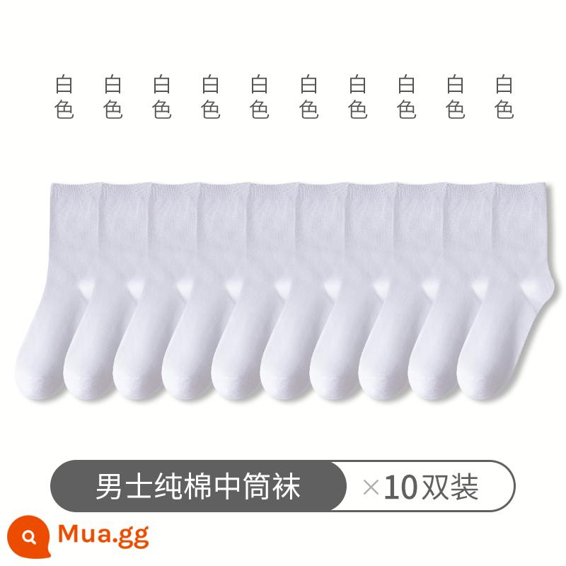 Tất Zhuji tất nam đến giữa bắp chân xuân thu cotton nguyên chất khử mùi và thấm hút mồ hôi tất cotton kinh doanh cotton đen dành cho nam giới - (10 đôi màu trắng)