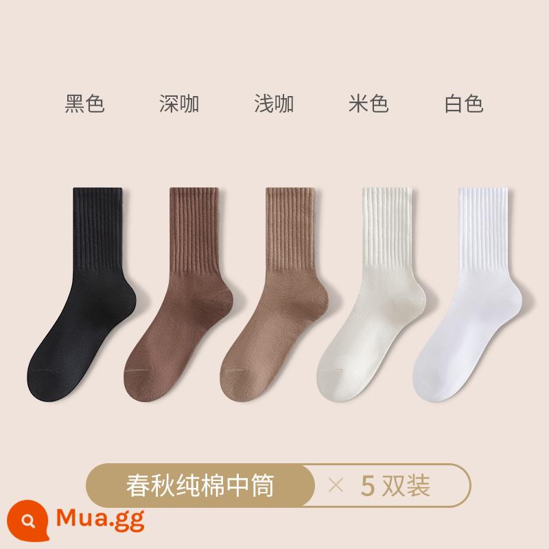 Vớ nữ mùa thu đông vớ ống giữa cotton nguyên chất vớ thể thao vớ nữ mùa đông cá mập quần kèm vớ vớ mùa đông - [Mẫu đồng màu] đen + cà phê đậm + cà phê nhạt + be + trắng