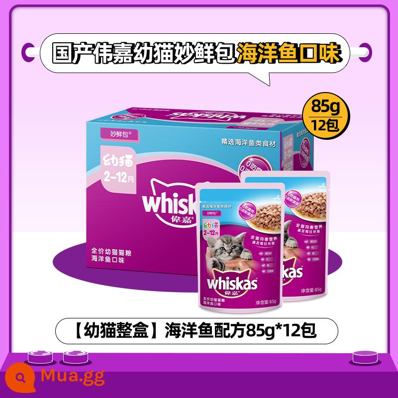 Mèo trưởng thành Weijia gói tươi tuyệt vời 12 gói dưỡng ẩm cho mèo tươi gói thức ăn ướt kín niêm phong đồ ăn nhẹ cho mèo thức ăn chủ yếu cho mèo thức ăn cho mèo Weijia đóng hộp - [Hộp Nguyên Con Cho Mèo Con] Công Thức Cá Đại Dương 85g*12 Gói