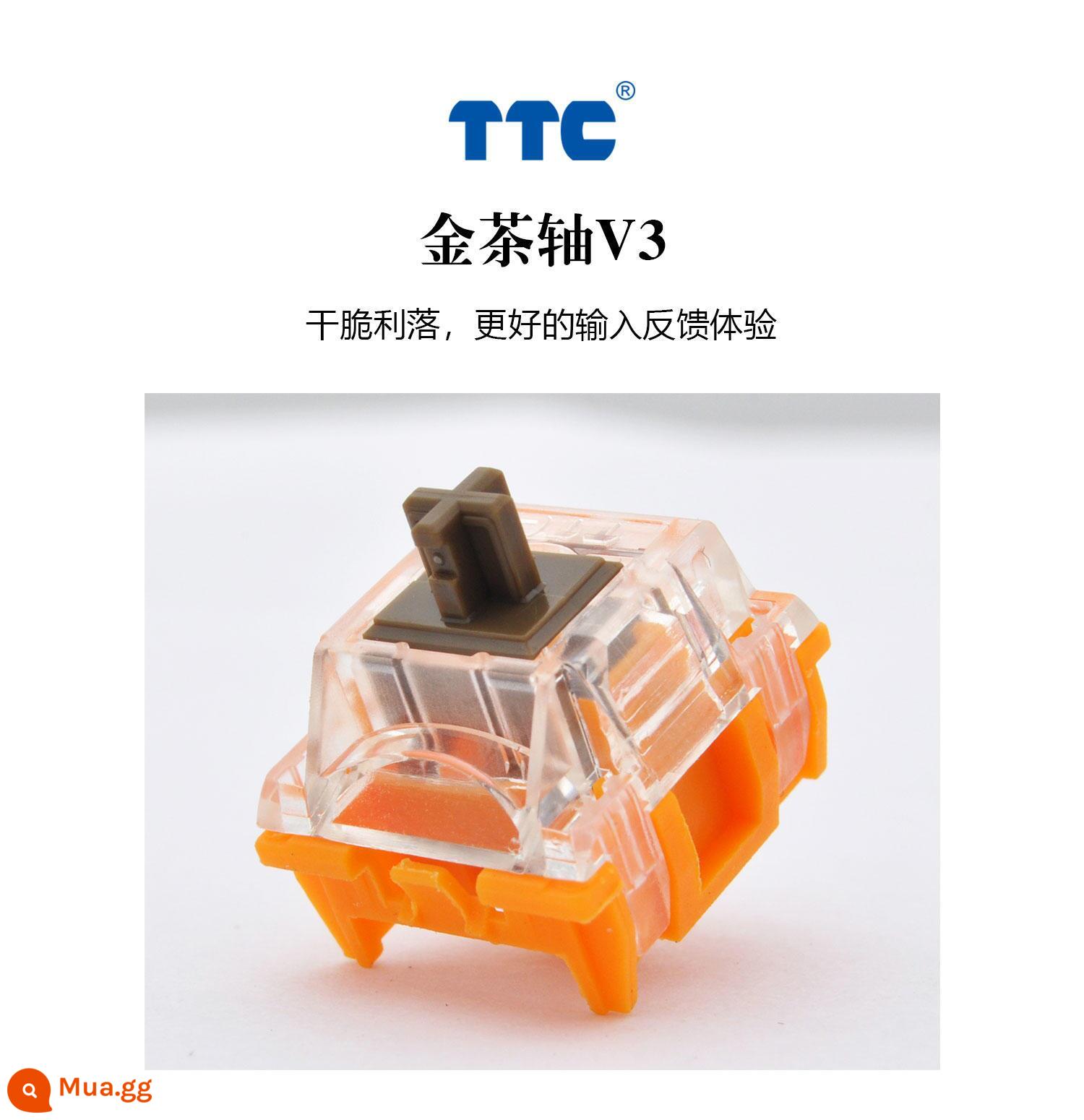 TTC nhanh bạc đỏ học sinh ACE trục mặt trăng bột bạch kim trục V2 vàng trà vàng đỏ câm trà cơ trục máy kiểm tra - Trục trà vàng TTC 4 miếng có hàng