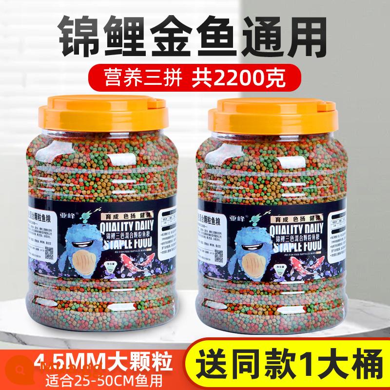 Thức ăn cho cá cá vàng thức ăn cho cá koi thức ăn hạt nhỏ thức ăn cho cá cảnh hộ gia đình cá vàng nhỏ nổi đặc biệt cá chép nhỏ - Các loại hạt lớn siêu giá trị tổng cộng 2200g♥1100g 1 thùng + miễn phí cùng kiểu dáng