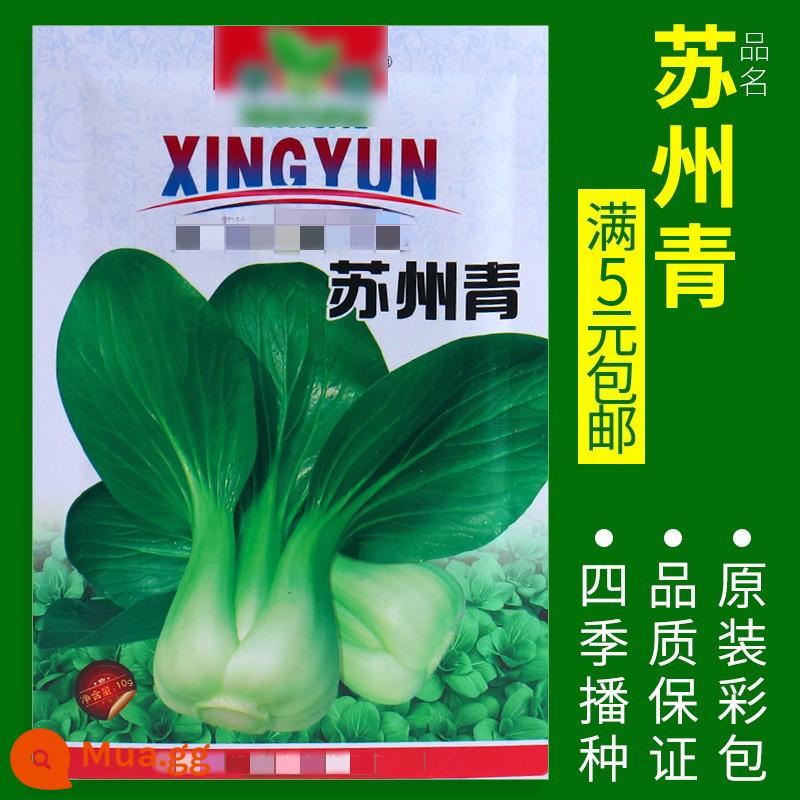 Hạt giống rau củ gieo trong chậu các mùa, sân ban công, ngò, xà lách, rau muống, cà rốt và hành lá, hạt giống đơn giản, dễ gieo - Tô Châu Xanh Khoảng 800 viên