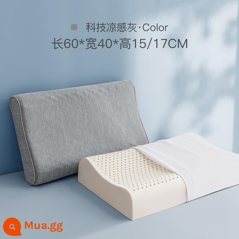 Cao Su Thái Áo Gối Đơn Cao Gối Áo Gối Đơn Người Lớn 60X40 Nhớ Cao Su Cotton Thoáng Mát Áo Gối Chần Gòn - Chỉ vỏ gối - 60*40*15/17 [vỏ gối màu xám mát kỹ thuật] - gói đơn