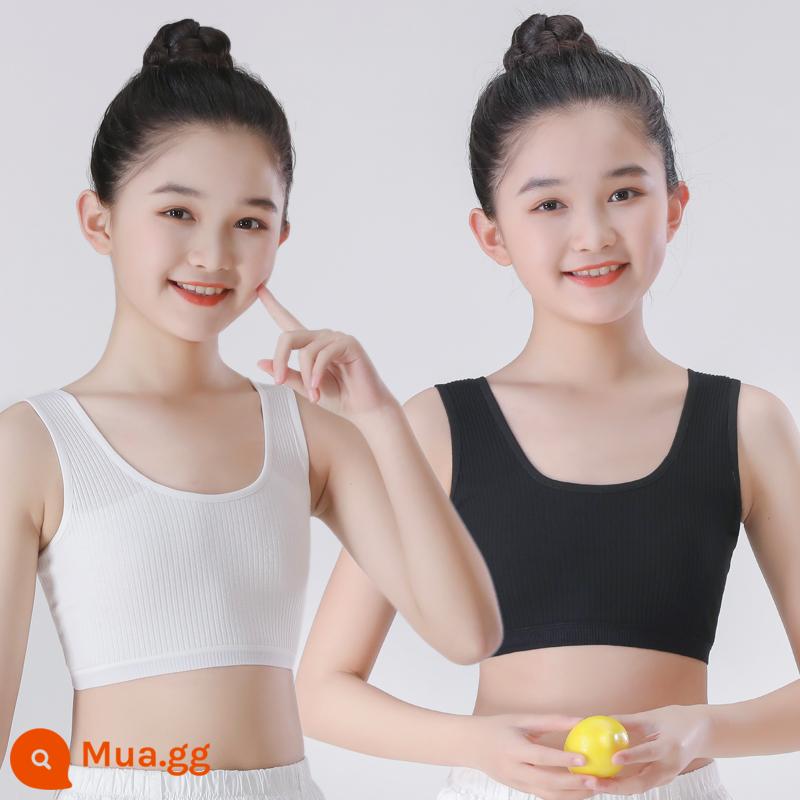 Đồ lót bé gái áo vest sling phát triển sớm cotton nguyên chất chống lồi ống áo ngực bé gái học sinh trung học cơ sở 8-16 tuổi - Đen + trắng [hai mảnh]