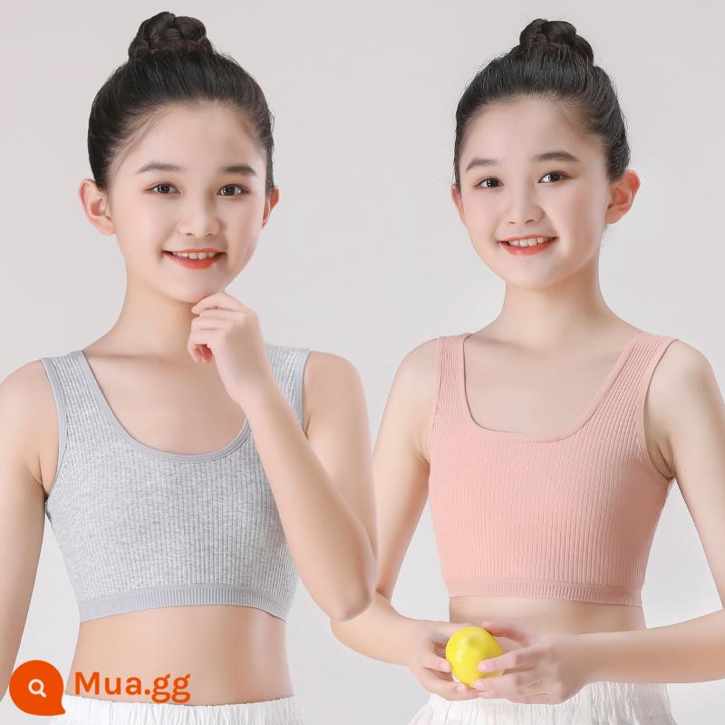 Đồ lót bé gái áo vest sling phát triển sớm cotton nguyên chất chống lồi ống áo ngực bé gái học sinh trung học cơ sở 8-16 tuổi - Cam + xám [hai miếng]