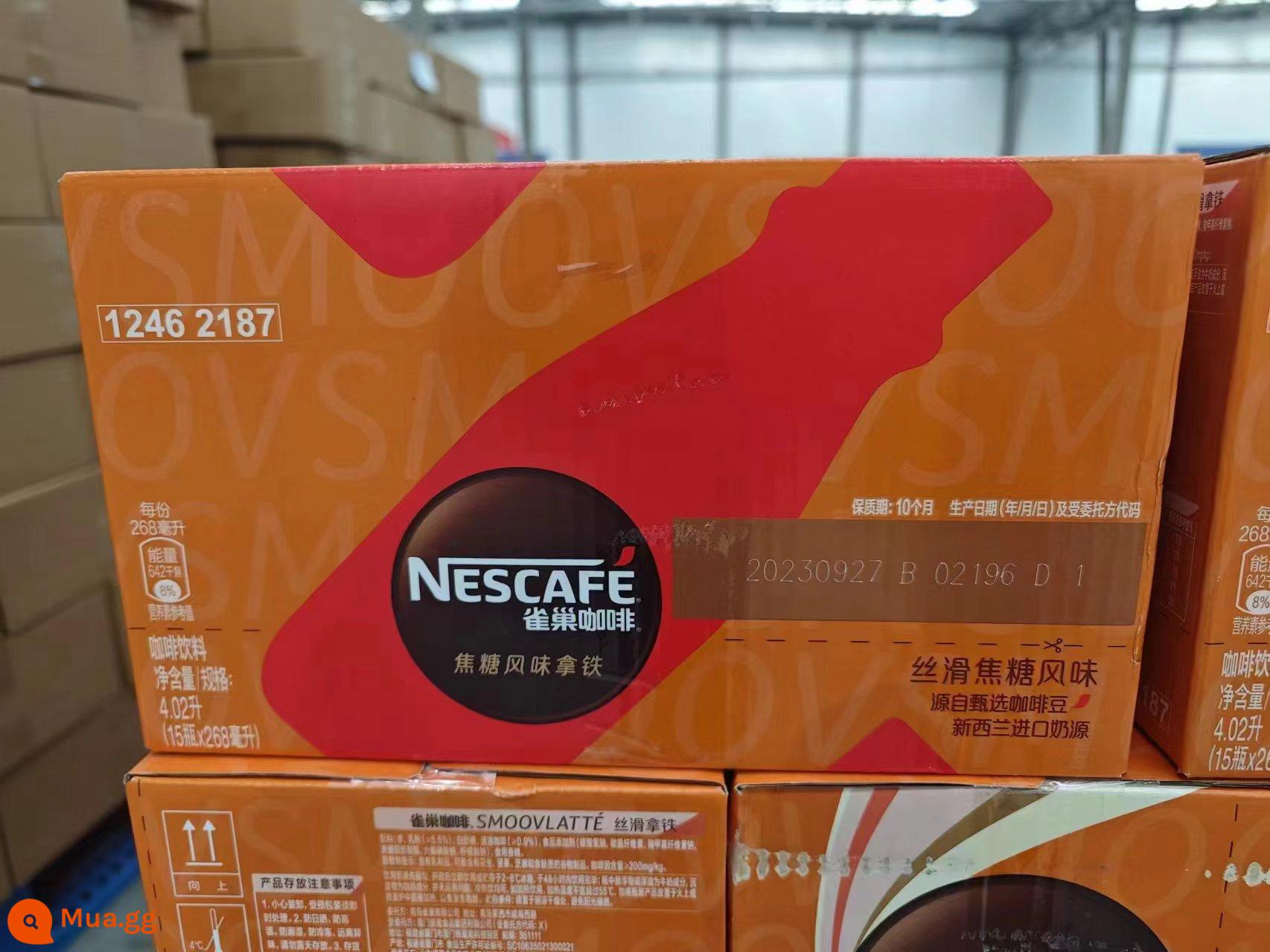 Nescafé Silky Latte 268mlx15 chai full box nước giải khát pha sẵn giá cực tốt - Latte vị caramel 15*268ml