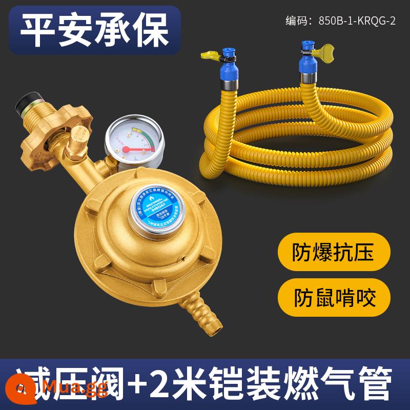 Ống gas gia dụng ống gas gas hóa lỏng lò gas chống cháy nổ ống nối kim loại thép không gỉ đặc biệt - Bảo hiểm Ping An [Gói 3] Van giảm áp chống cháy nổ + Ống dẫn gas bọc thép 2m