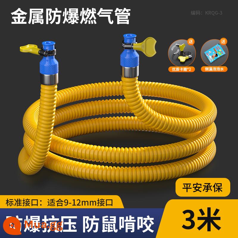 Ống gas gia dụng ống gas gas hóa lỏng lò gas chống cháy nổ ống nối kim loại thép không gỉ đặc biệt - Mới nâng cấp 3 mét [hữu ích cho cuộc sống]